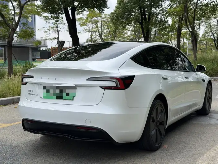 Model 3 2025 Model Facelift Long Battery Life Pro Rear-wheel drive version – фото 6