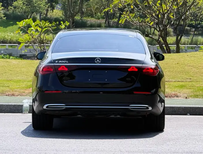 Mercedes-Benz E-Class 2025 Model E 300 L Noble Model sedan – фото 6