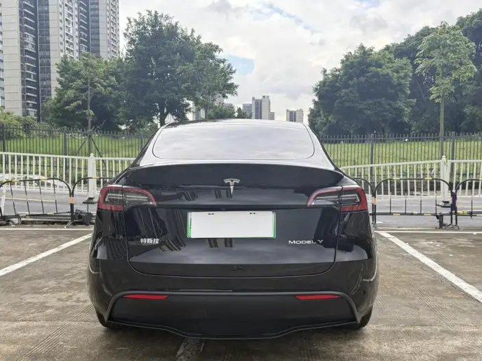 Model Y 2024 Model Rear-wheel drive version – фото 6