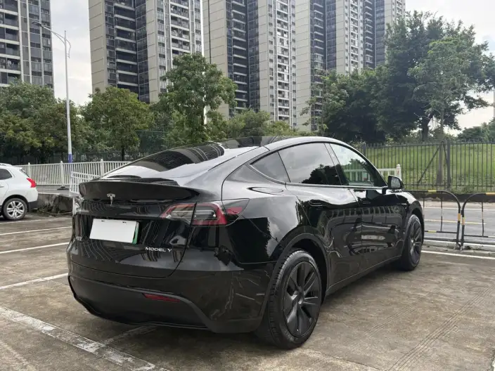 Model Y 2024 Model Rear-wheel drive version – фото 7