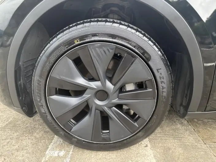 Model Y 2024 Model Rear-wheel drive version – фото 10
