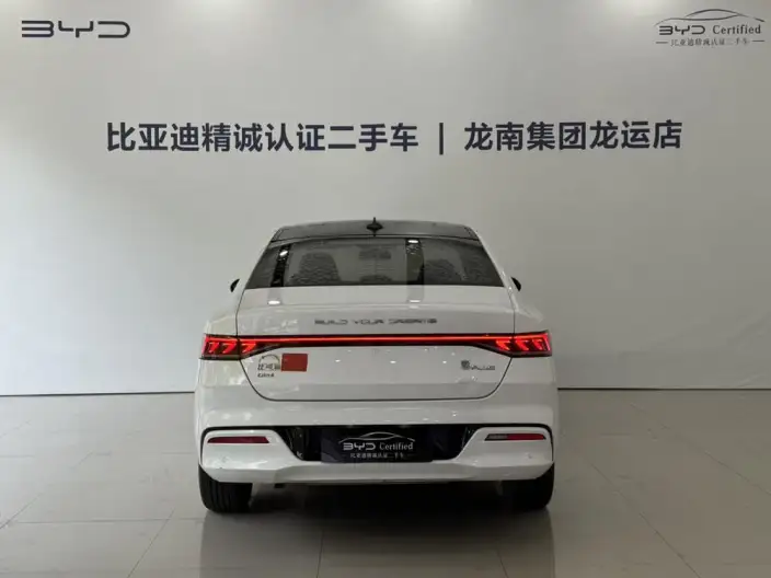 BYD Qin PLUS DM 2021 Model DM-i 120KM Noble Model – фото 3