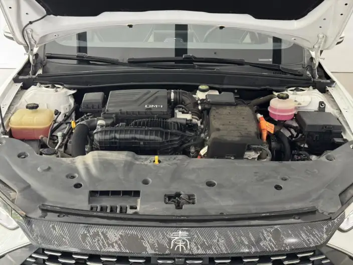 BYD Qin PLUS DM 2021 Model DM-i 120KM Noble Model – фото 7