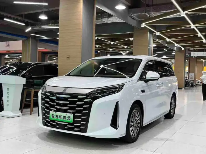 Xia 2025 Model DM-i 180KM Excellence Model – фото 1