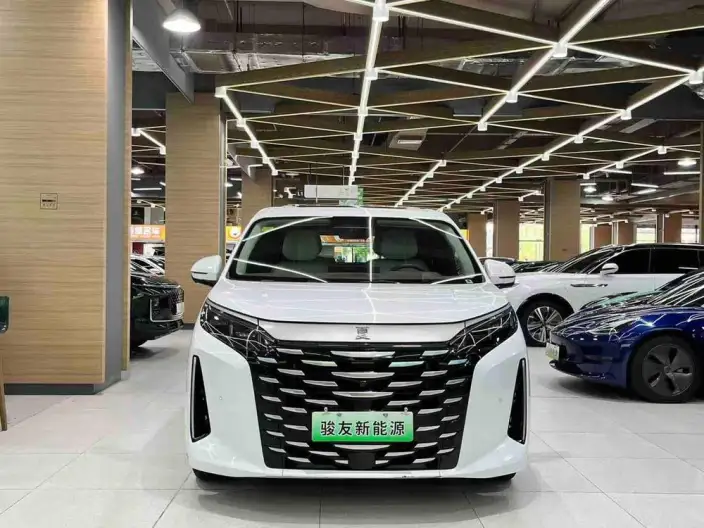 Xia 2025 Model DM-i 180KM Excellence Model – фото 2
