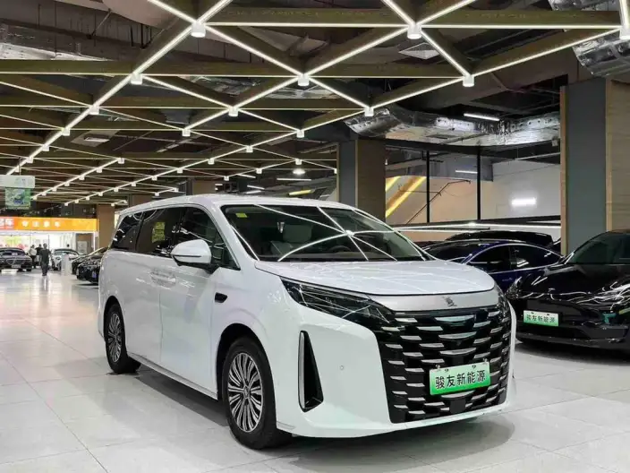 Xia 2025 Model DM-i 180KM Excellence Model – фото 3