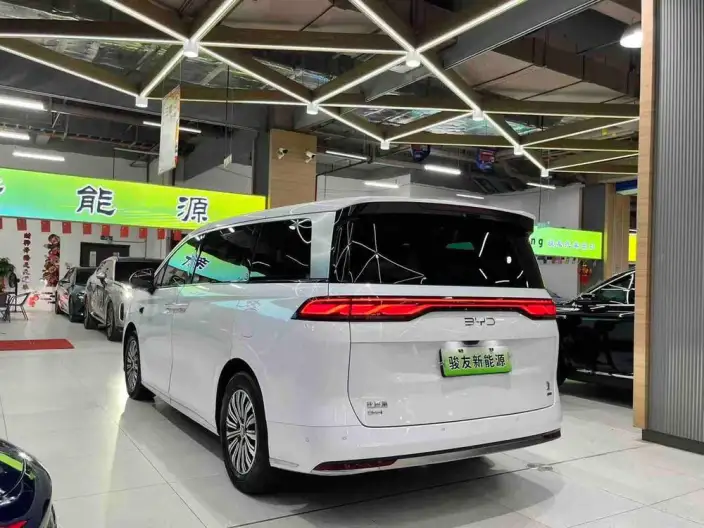 Xia 2025 Model DM-i 180KM Excellence Model – фото 4