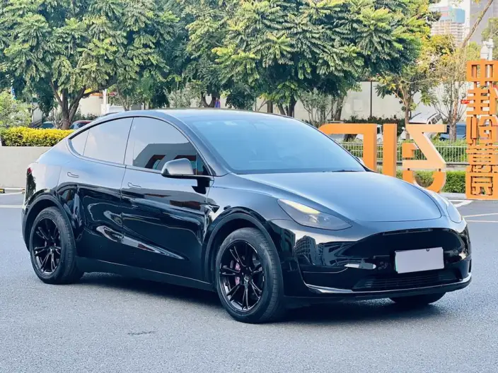 Model Y 2022 Model Rear-wheel drive version