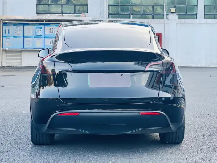 Model Y 2022 Model Rear-wheel drive version – фото 5
