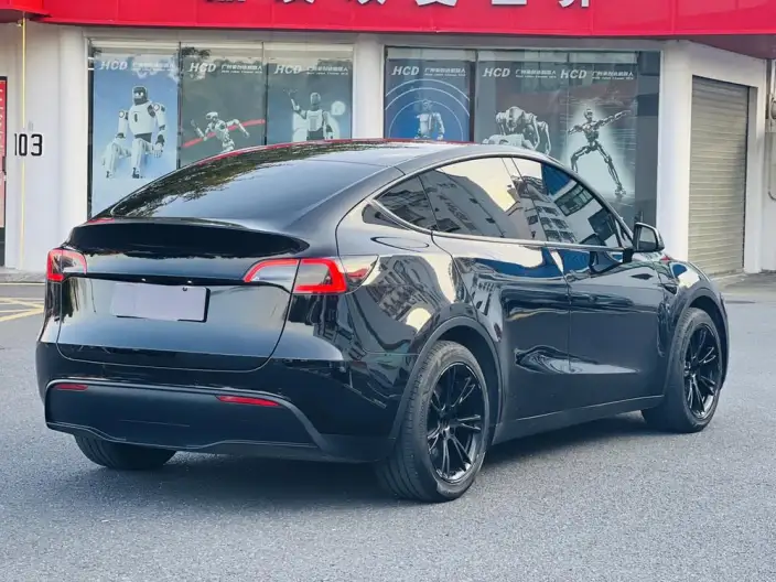 Model Y 2022 Model Rear-wheel drive version – фото 6