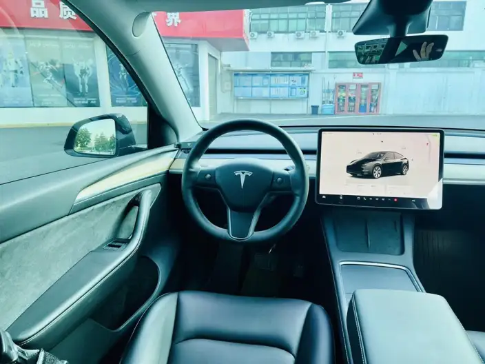 Model Y 2022 Model Rear-wheel drive version – фото 8