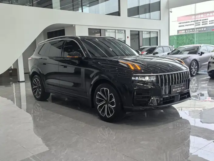 Lynk & Co 09 2024 Model 2.0T 4WD Sports Edition – фото 3