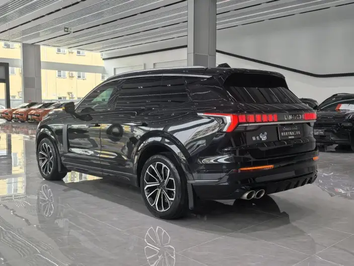 Lynk & Co 09 2024 Model 2.0T 4WD Sports Edition – фото 5