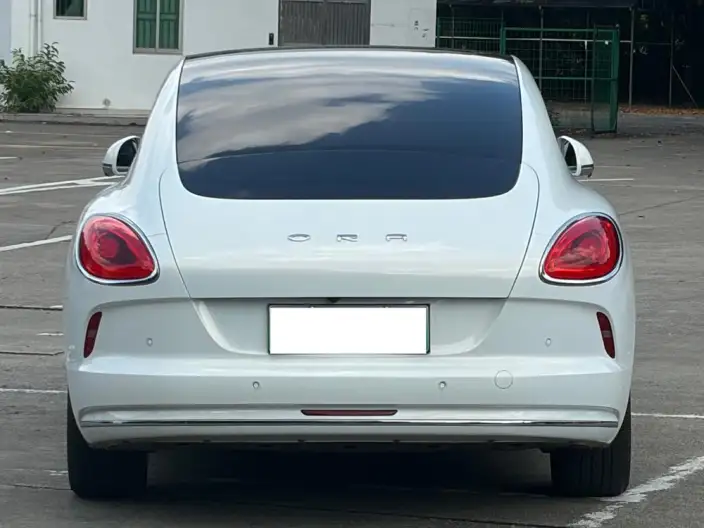 ORA Grand Cat 2022 Model 555km Premium Edition – фото 5