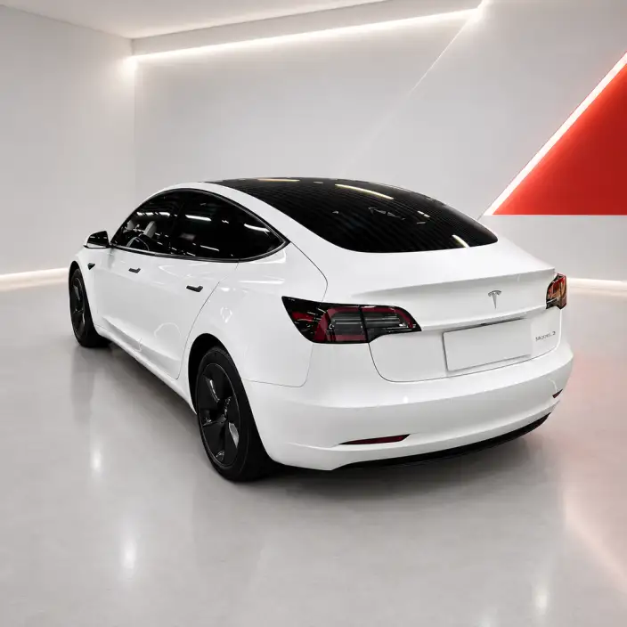 Model 3 2020 Model Facelift Long Battery Life Pro Rear-wheel drive version