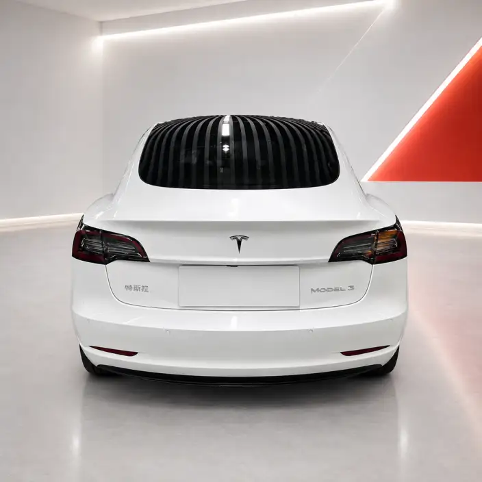 Model 3 2020 Model Facelift Long Battery Life Pro Rear-wheel drive version – фото 5