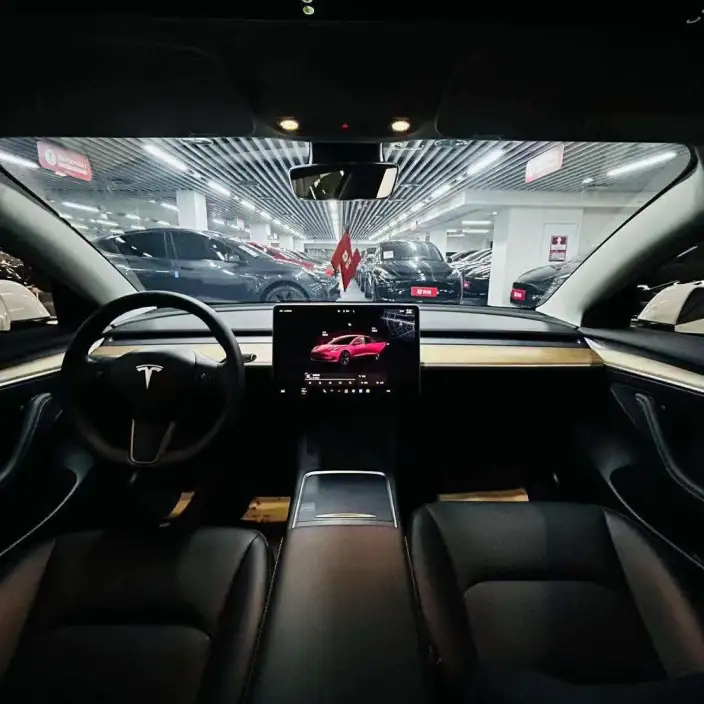 Model 3 2020 Model Facelift Long Battery Life Pro Rear-wheel drive version – фото 8