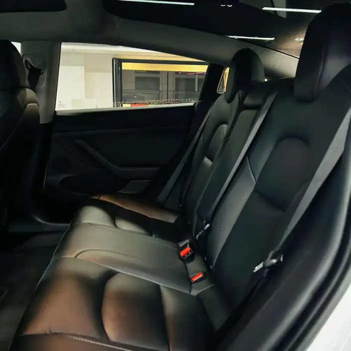 Model 3 2020 Model Facelift Long Battery Life Pro Rear-wheel drive version – фото 10