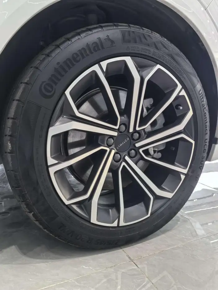 Lynk & Co 09 EM-P 2024 Model EM-P 2.0TD VII seat PRO – фото 8