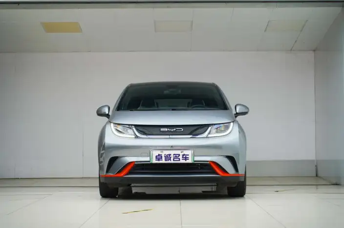 BYD Dolphin 2021 Model Fashion Edition