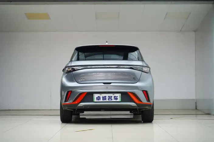 BYD Dolphin 2021 Model Fashion Edition