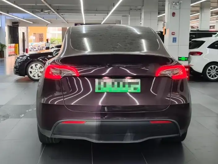 Model Y 2022 Model Rear-wheel drive version – фото 5