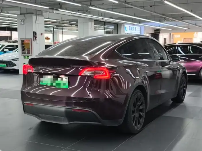 Model Y 2022 Model Rear-wheel drive version – фото 6
