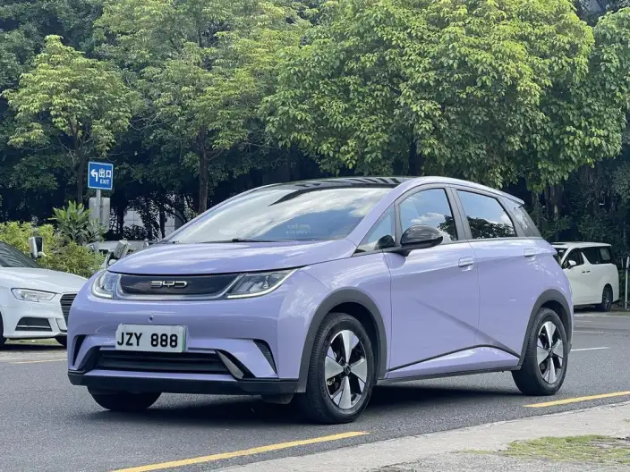 BYD Dolphin 2023 Model Fashion Edition