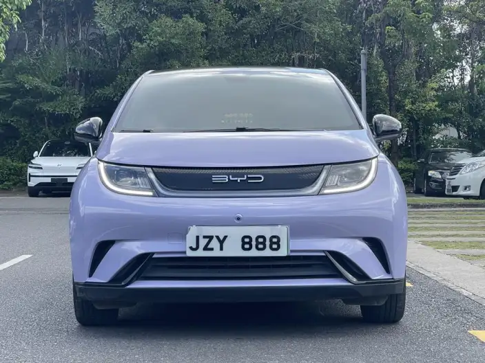 BYD Dolphin 2023 Model Fashion Edition