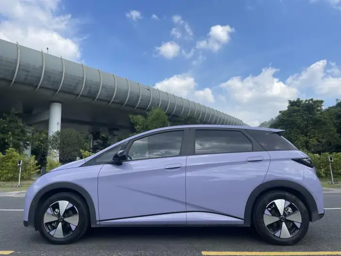 BYD Dolphin 2023 Model Fashion Edition