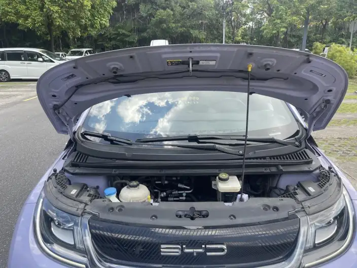 BYD Dolphin 2023 Model Fashion Edition – фото 8