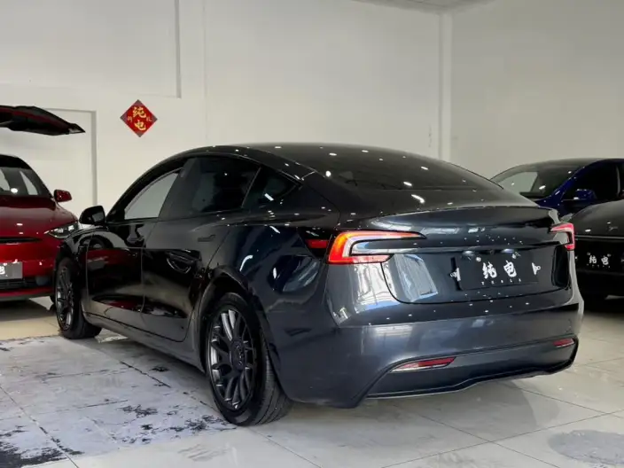 Model 3 2023 Model Rear-wheel drive version – фото 5
