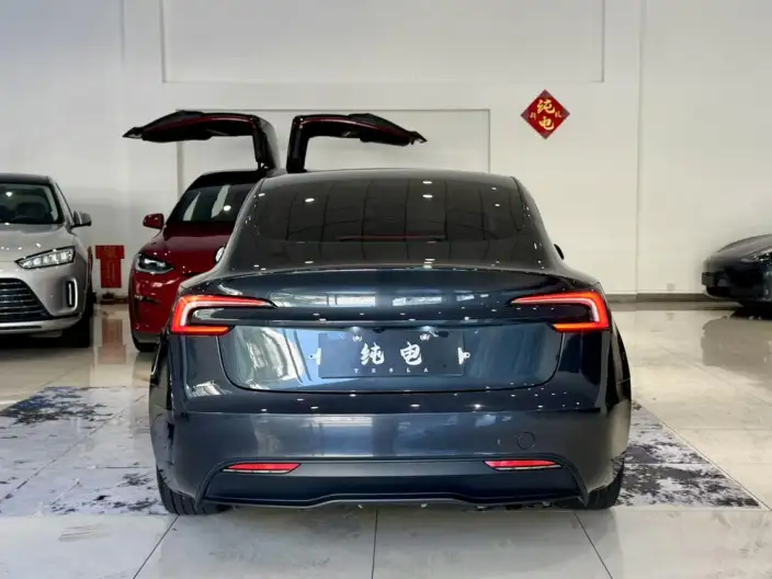Model 3 2023 Model Rear-wheel drive version – фото 6