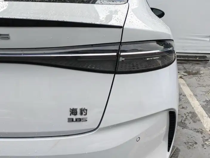BYD Seal 2022 Model 550KM Standard Battery Life Rear Drive Edition Noble Model – фото 7
