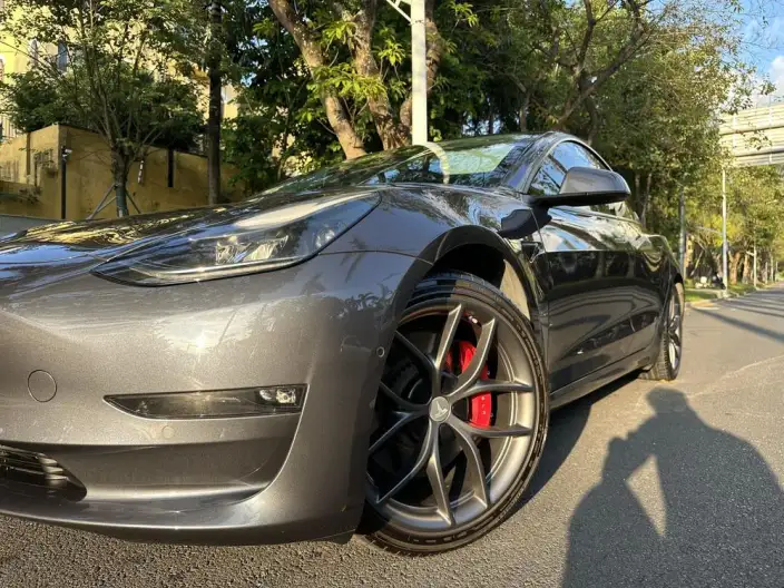 Model 3 2022 Model Performance High performance All-wheel drive version – фото 10
