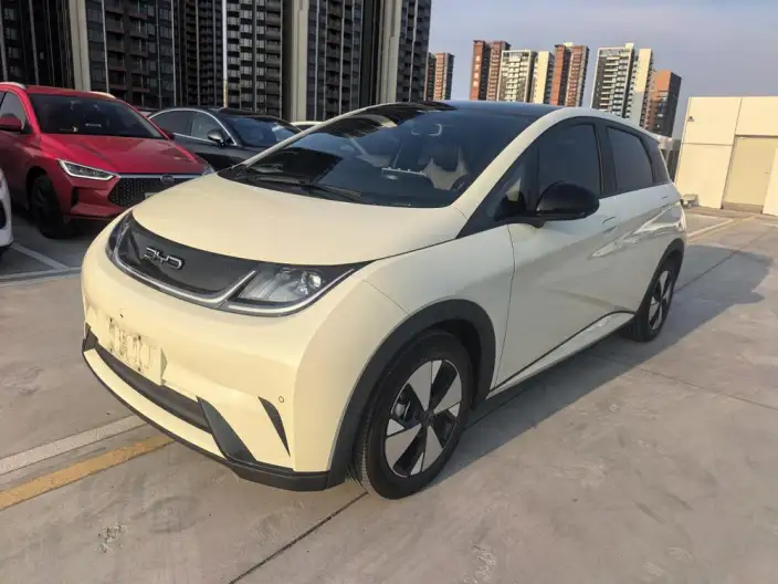 BYD Dolphin 2023 Model Fashion Edition