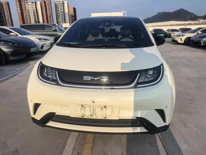 BYD Dolphin 2023 Model Fashion Edition