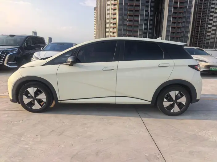BYD Dolphin 2023 Model Fashion Edition