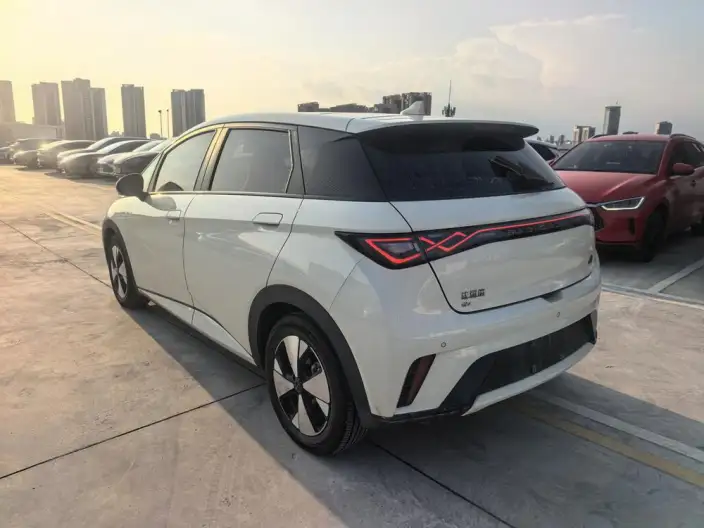 BYD Dolphin 2023 Model Fashion Edition