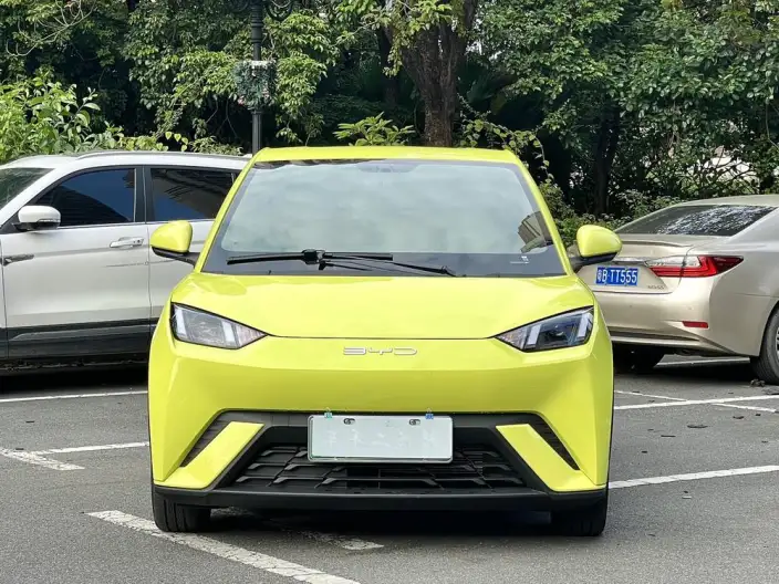 BYD Seagull 2023 Model Free Edition