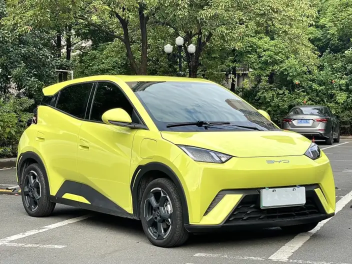 BYD Seagull 2023 Model Free Edition