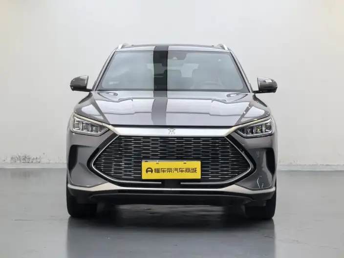 BYD Song PLUS DM 2021 Model DM-i 51KM 2WD Zunrong Model – фото 2