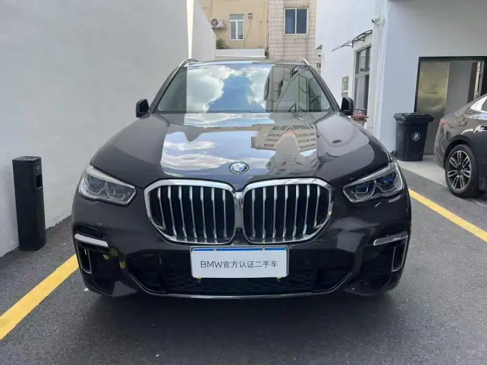 BMW X5 2022 Model xDrive 30Li Exclusive Model M Sports Set – фото 2