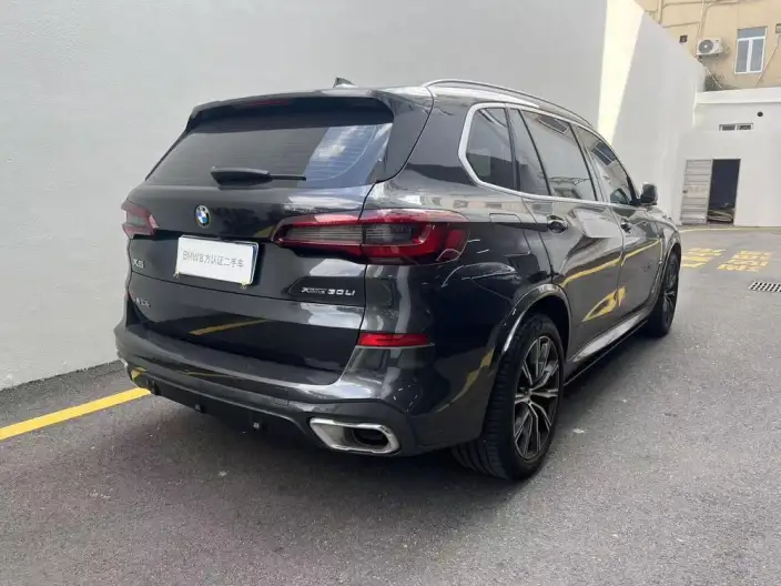 BMW X5 2022 Model xDrive 30Li Exclusive Model M Sports Set – фото 5