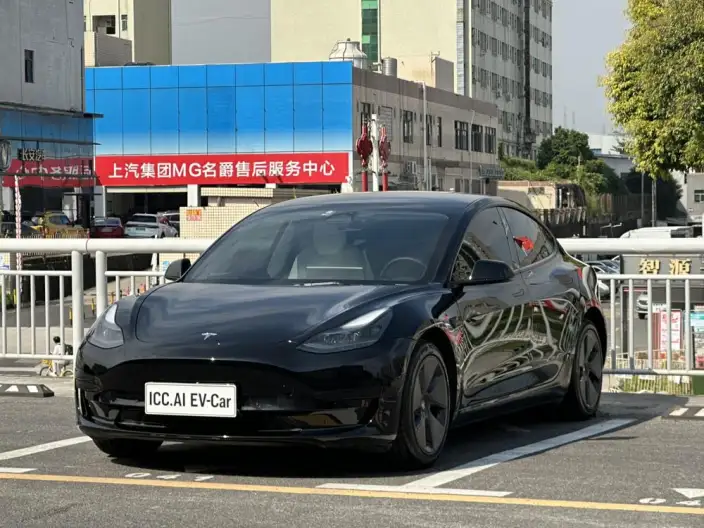 Model 3 2022 Model Rear-wheel drive version – фото 1