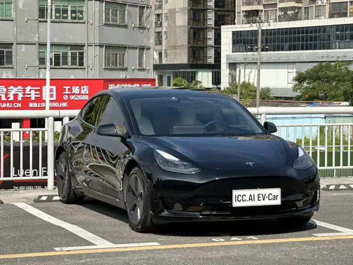 Model 3 2022 Model Rear-wheel drive version – фото 3