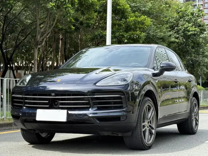 Cayenne 2022 Model Cayenne 3.0T Platinum edition – фото 1