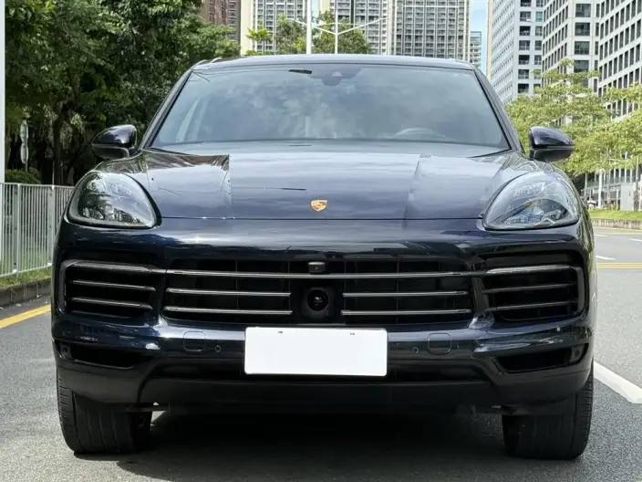 Cayenne 2022 Model Cayenne 3.0T Platinum edition – фото 2