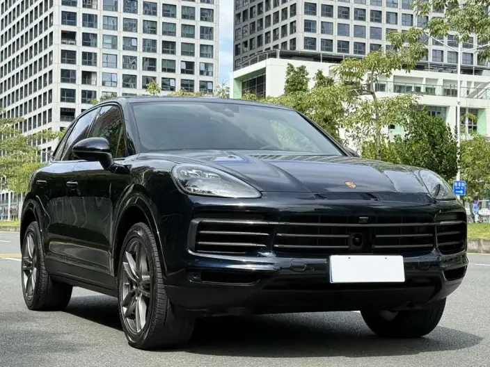 Cayenne 2022 Model Cayenne 3.0T Platinum edition – фото 3