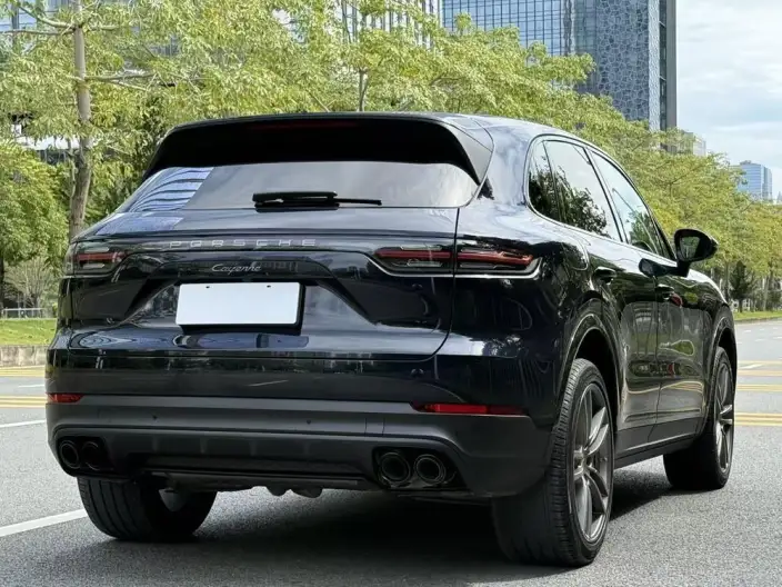 Cayenne 2022 Model Cayenne 3.0T Platinum edition – фото 7